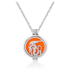 Dual-Sided Stainless Steel Aromatherapy Necklace Jewelry
