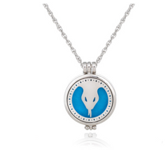 Dual-Sided Stainless Steel Aromatherapy Necklace Jewelry