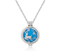 Dual-Sided Stainless Steel Aromatherapy Necklace Jewelry