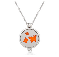 Dual-Sided Stainless Steel Aromatherapy Necklace Jewelry